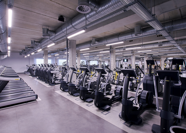 Teléfono Body Factory Atención al Cliente: Contacto, Soporte y Cómo Hablar con el Gimnasio