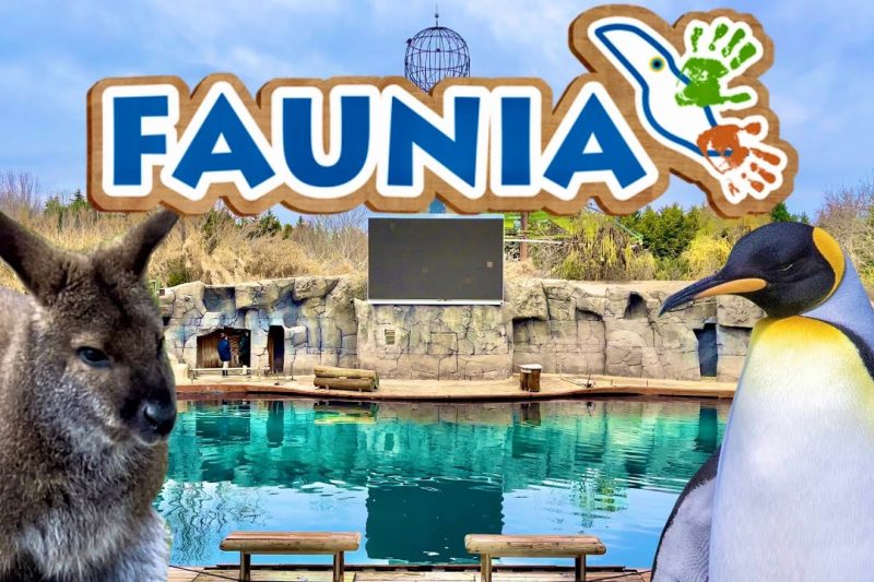 Teléfono de Faunia: contacto, horarios, entradas y atención al cliente