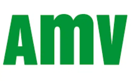 AMV Seguros: teléfono de atención al cliente, contacto y gestiones