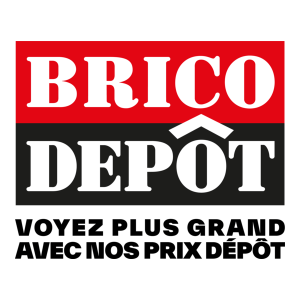 Logo de Brico Depôt